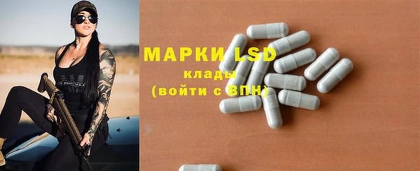 a pvp Белокуриха